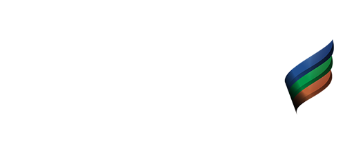Baldota Logo 1